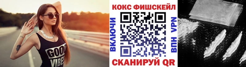 дарк нет какой сайт  как найти   Котлас  Cocaine Fish Scale 