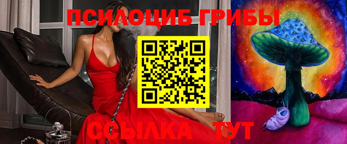 Галлюциногенные грибы мицелий Котлас