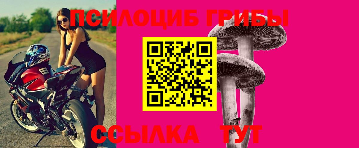 Галлюциногенные грибы Cubensis  Вход с VPN  Котлас 